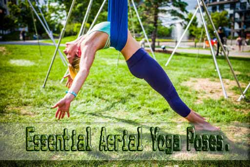 Essential Aerial Yoga Poses